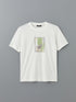 LC Waikiki Crew Neck Printed Combed Cotton Men's T-Shirt